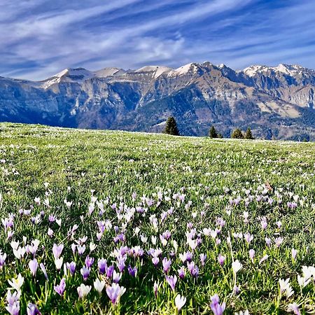 Villa Casa Delle Arti Fattoria Dei Fiori Sospirolo Esterno foto