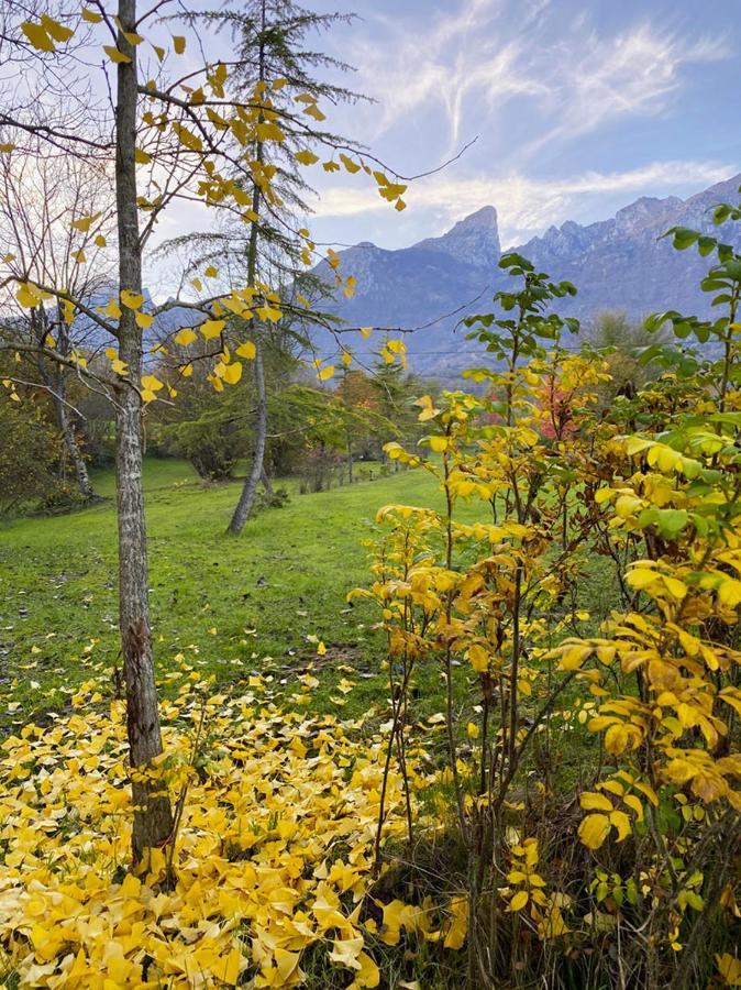 Villa Casa Delle Arti Fattoria Dei Fiori Sospirolo Esterno foto