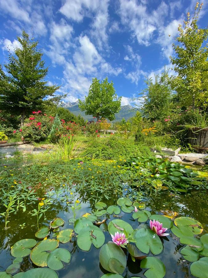 Villa Casa Delle Arti Fattoria Dei Fiori Sospirolo Esterno foto