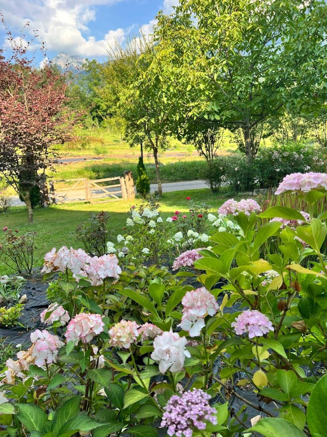 Villa Casa Delle Arti Fattoria Dei Fiori Sospirolo Esterno foto