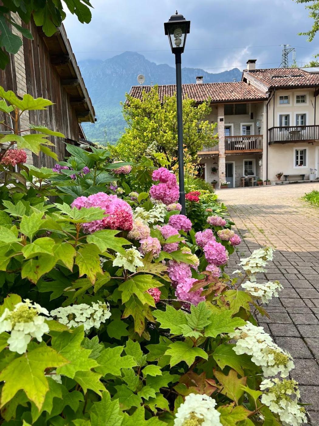 Villa Casa Delle Arti Fattoria Dei Fiori Sospirolo Esterno foto